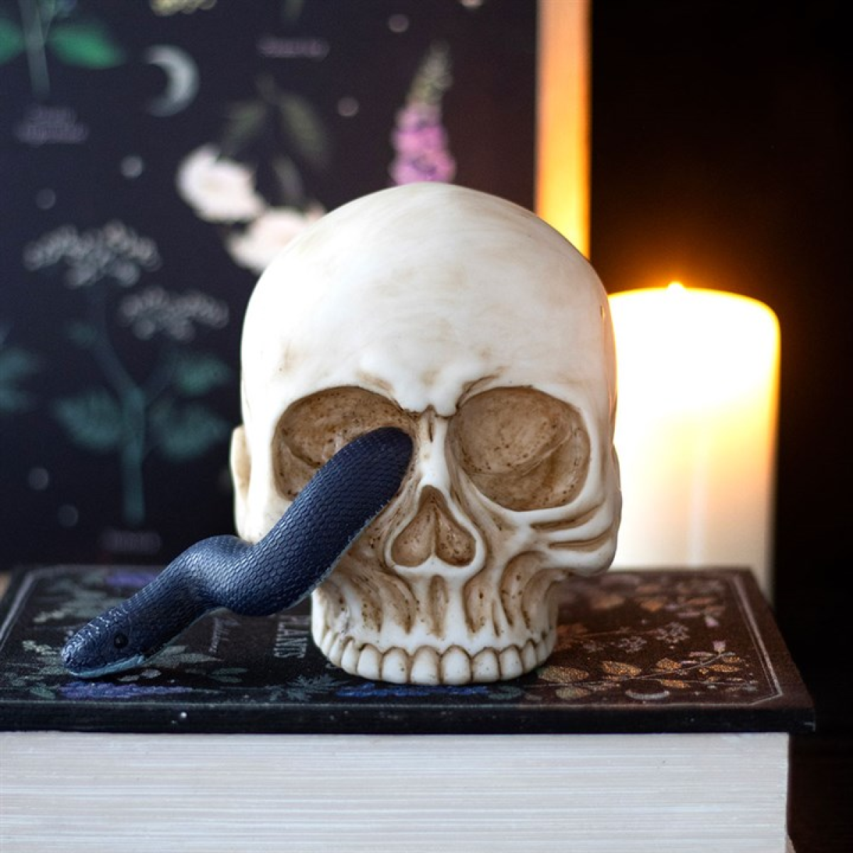 Skull Ornament with Snake